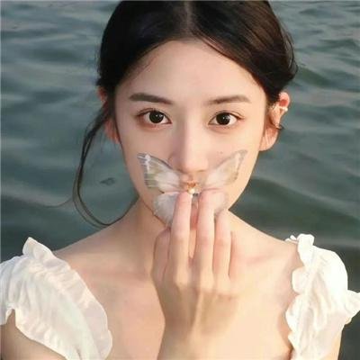 南来北往